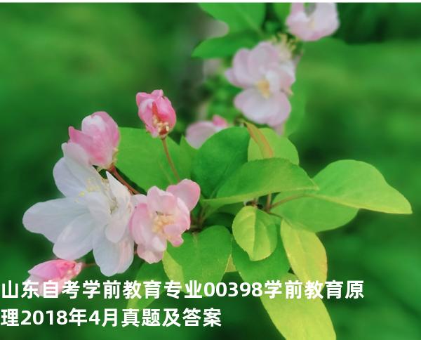 山东自考学前教育专业00398学前教育原理2018年4月真题及答案