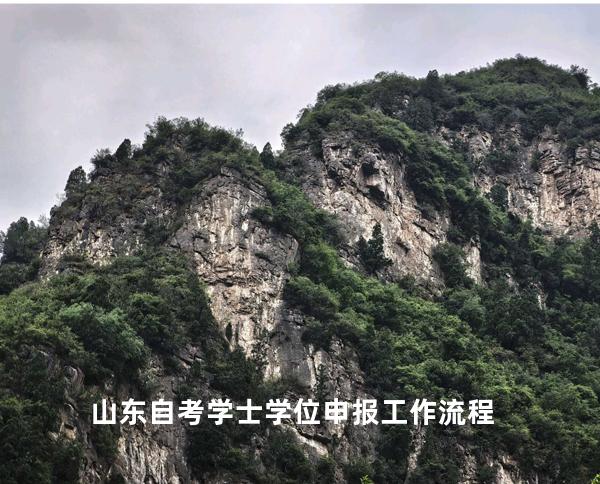山东自考学士学位申报工作流程