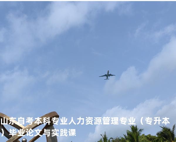 山东自考本科专业人力资源管理专业（专升本）毕业论文与实践课