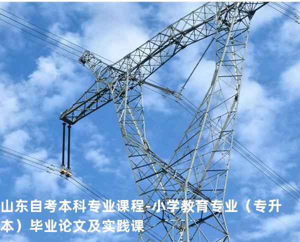 山东自考本科专业课程-小学教育专业（专升本）毕业论文及实践课