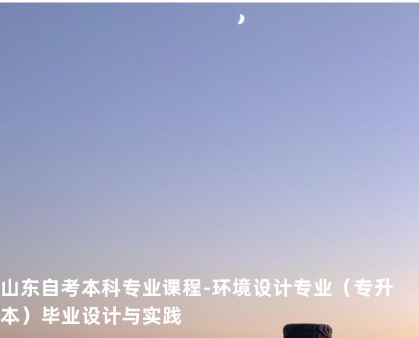 山东自考本科专业课程-环境设计专业（专升本）毕业设计与实践