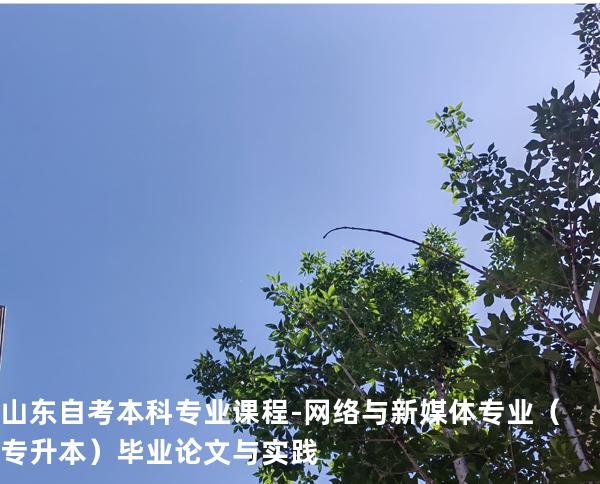 山东自考本科专业课程-网络与新媒体专业（专升本）毕业论文与实践