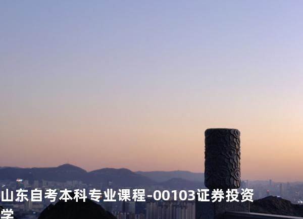 山东自考本科专业课程-00103证券投资学