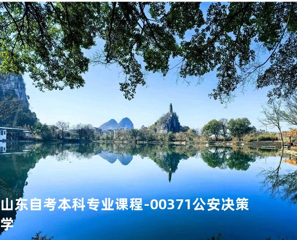 山东自考本科专业课程-00371公安决策学