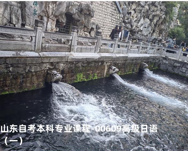 山东自考本科专业课程-00609高级日语（一）