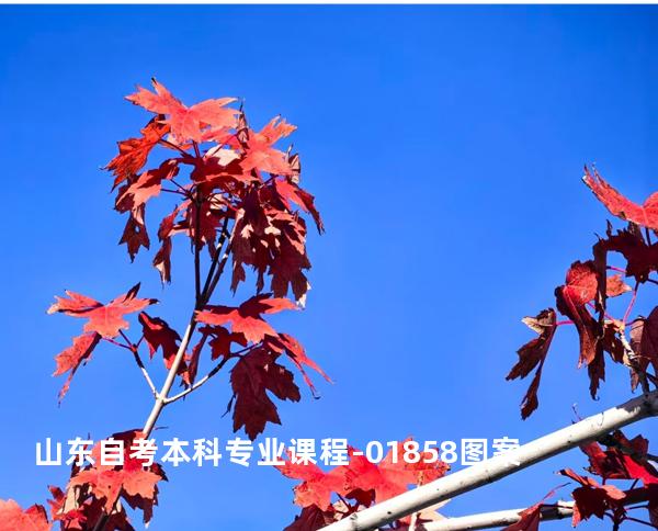山东自考本科专业课程-01858图案
