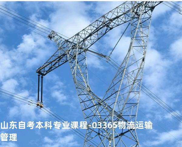 山东自考本科专业课程-03365物流运输管理