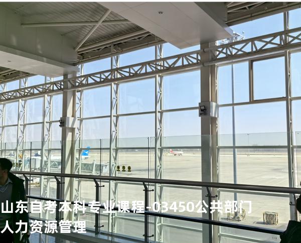 山东自考本科专业课程-03450公共部门人力资源管理