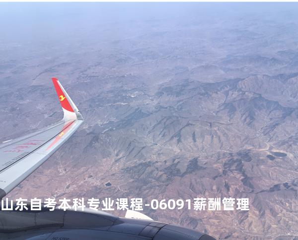 山东自考本科专业课程-06091薪酬管理