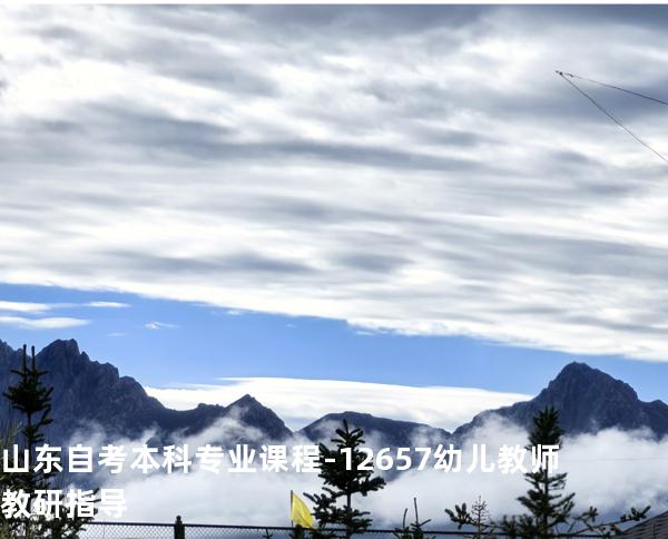 山东自考本科专业课程-12657幼儿教师教研指导