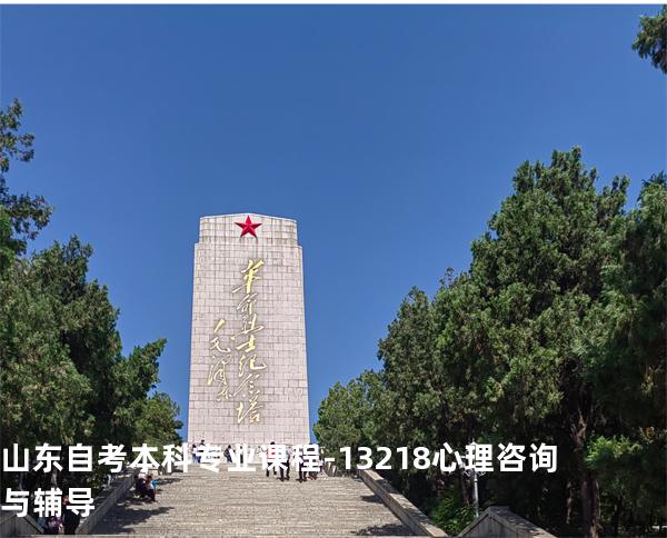 山东自考本科专业课程- 13218心理咨询与辅导