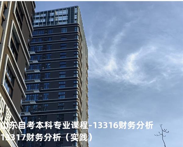 山东自考本科专业课程-13316财务分析13317财务分析（实践）