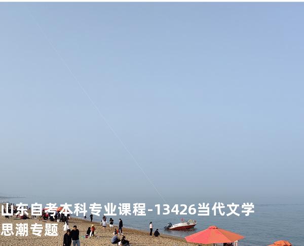 山东自考本科专业课程-13426当代文学思潮专题
