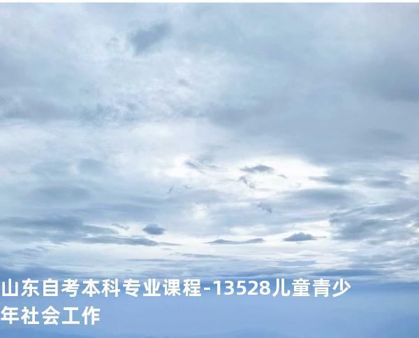 山东自考本科专业课程-13528儿童青少年社会工作