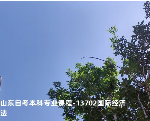 山东自考本科专业课程-13702国际经济法
