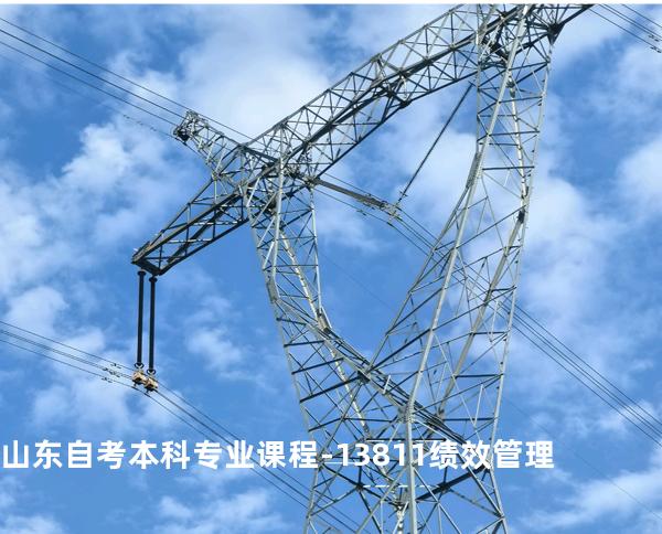 山东自考本科专业课程- 13811绩效管理