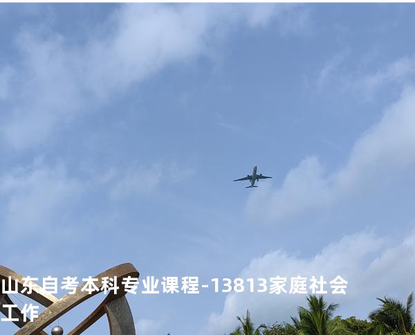 山东自考本科专业课程-13813家庭社会工作