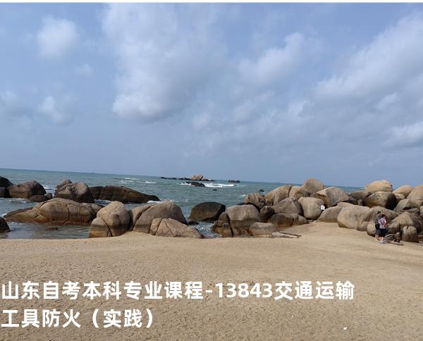 山东自考本科专业课程-13843交通运输工具防火（实践）