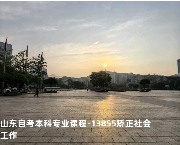山东自考本科专业课程-13855矫正社会工作