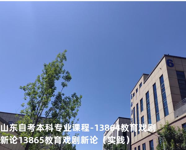 山东自考本科专业课程-13864教育戏剧新论 13865教育戏剧新论（实践）