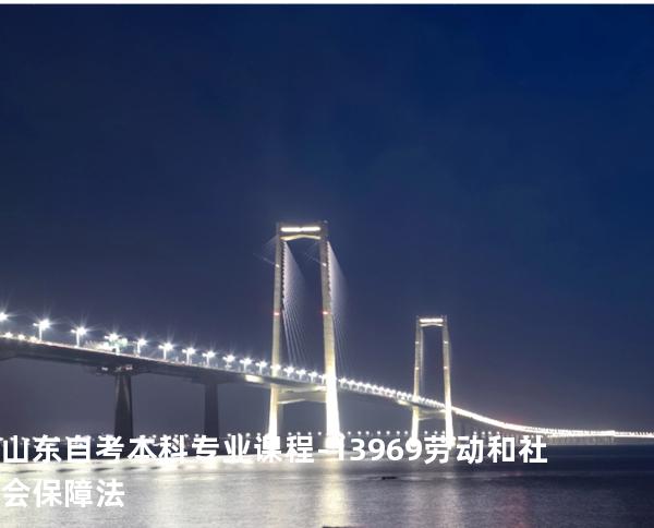 山东自考本科专业课程-13969劳动和社会保障法