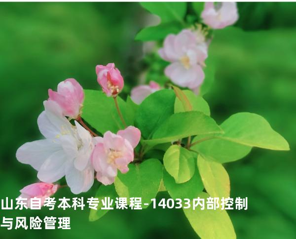 山东自考本科专业课程-14033内部控制与风险管理