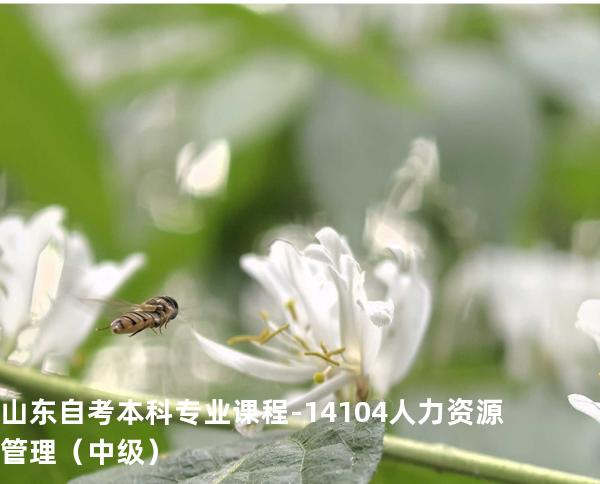 山东自考本科专业课程-14104人力资源管理（中级）