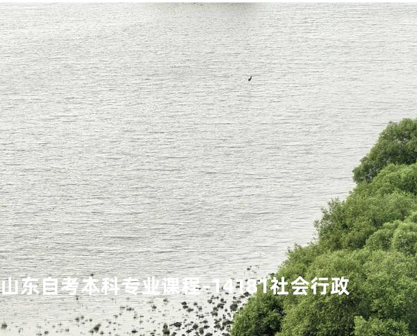 山东自考本科专业课程-14181社会行政