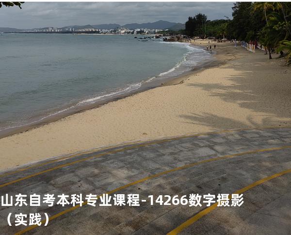 山东自考本科专业课程-14266数字摄影（实践）