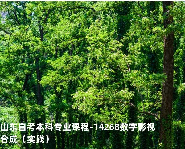 山东自考本科专业课程-14268数字影视合成（实践）
