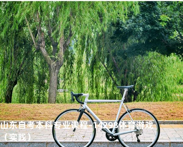 山东自考本科专业课程-14298体育游戏（实践）