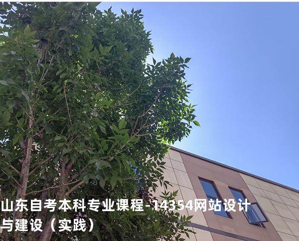 山东自考本科专业课程-14354网站设计与建设（实践）