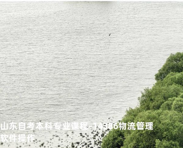 山东自考本科专业课程-14386物流管理软件操作