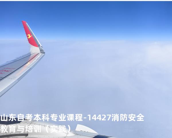 山东自考本科专业课程-14427消防安全教育与培训（实践）