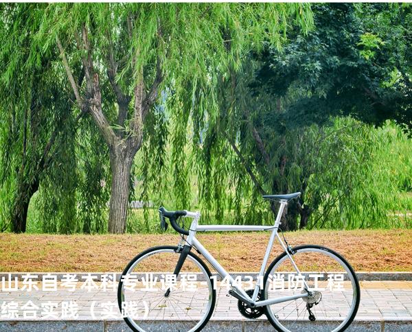 山东自考本科专业课程-14431消防工程综合实践（实践）