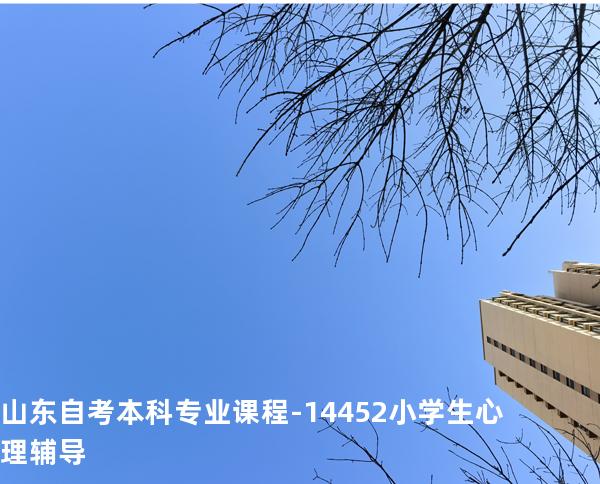山东自考本科专业课程-14452小学生心理辅导