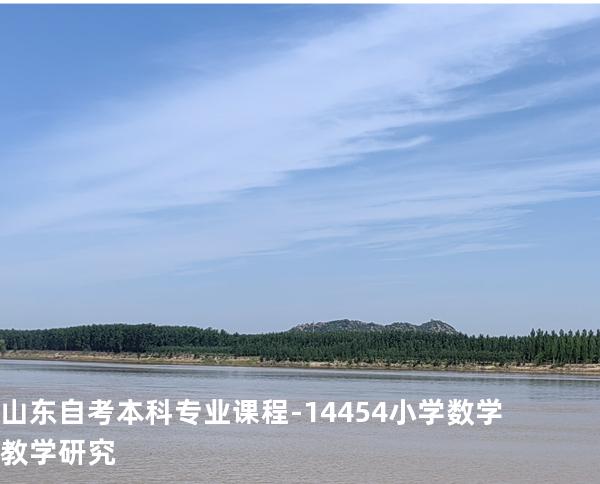 山东自考本科专业课程-14454小学数学教学研究