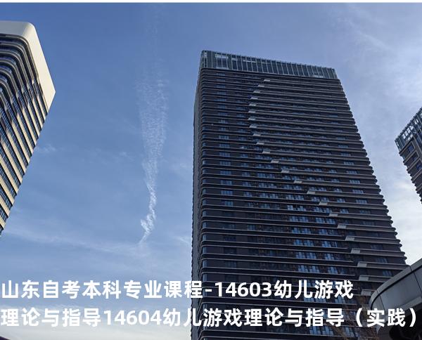 山东自考本科专业课程-14603幼儿游戏理论与指导 14604幼儿游戏理论与指导（实践）
