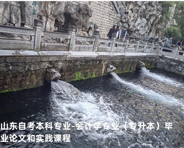 山东自考本科专业-会计学专业（专升本）毕业论文和实践课程
