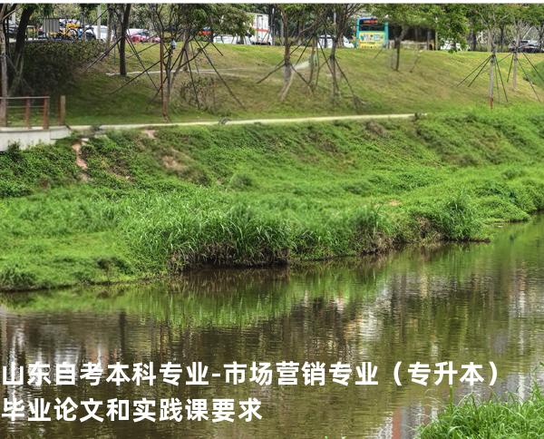 山东自考本科专业-市场营销专业（专升本）毕业论文和实践课要求