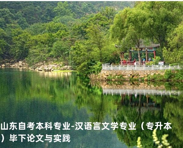 山东自考本科专业-汉语言文学专业（专升本）毕下论文与实践
