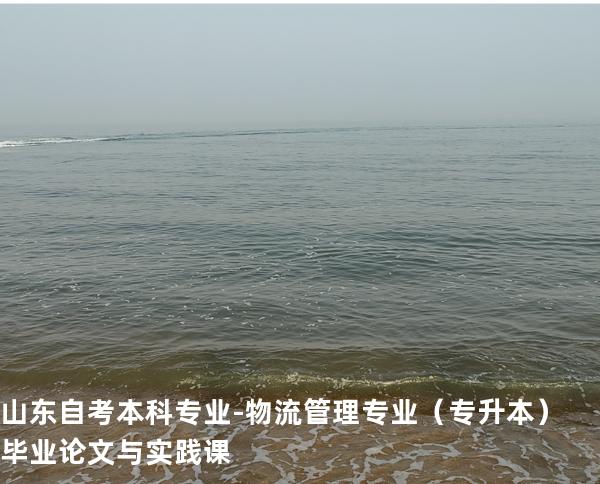 山东自考本科专业-物流管理专业（专升本）毕业论文与实践课