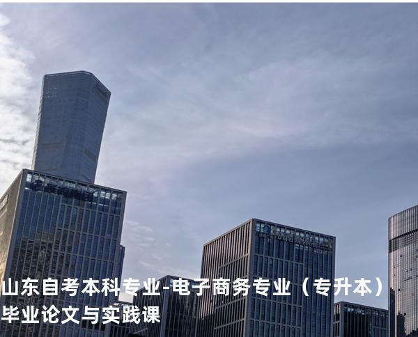 山东自考本科专业-电子商务专业（专升本）毕业论文与实践课