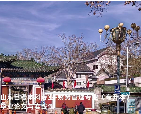 山东自考本科专业-财务管理专业（专升本）毕业论文与实践课