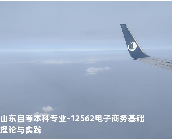 山东自考本科专业-12562电子商务基础理论与实践