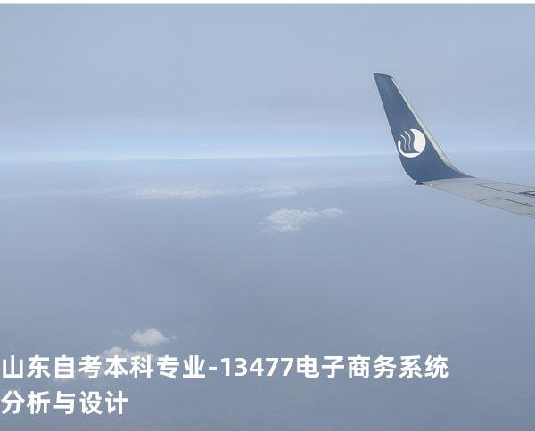山东自考本科专业-13477电子商务系统分析与设计