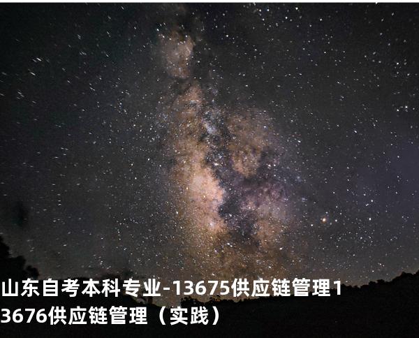 山东自考本科专业-13675供应链管理 13676供应链管理（实践）