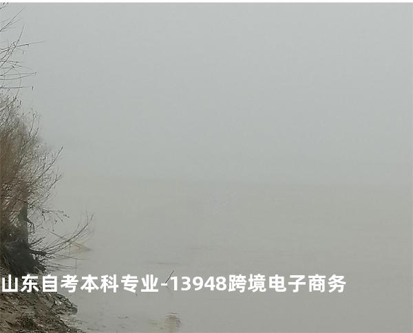 山东自考本科专业-13948跨境电子商务
