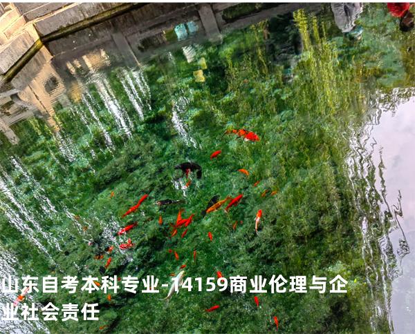 山东自考本科专业-14159商业伦理与企业社会责任