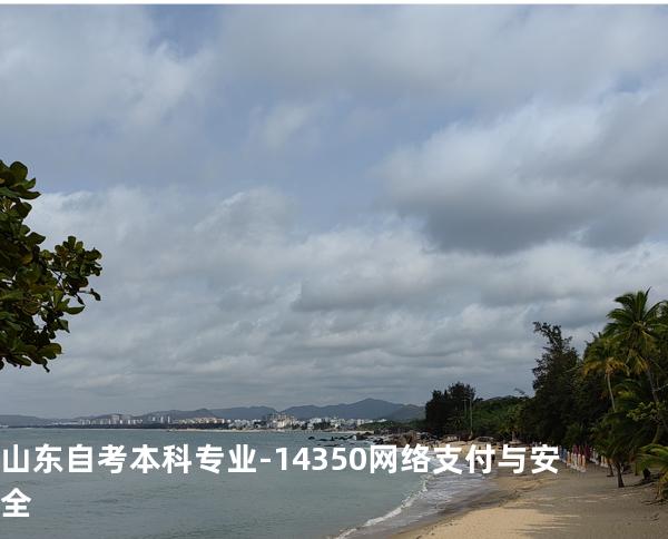 山东自考本科专业-14350网络支付与安全